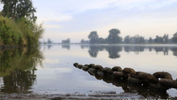 Gebiedsmarketingorganisatie Oss in het nieuwe jaar actief