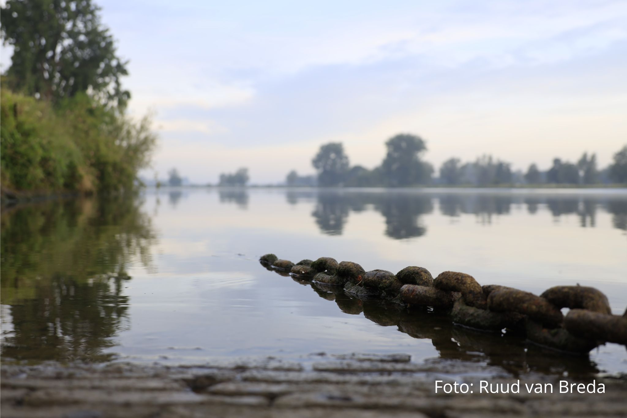 Gebiedsmarketingorganisatie Oss in het nieuwe jaar actief